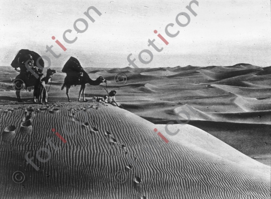 Wüstenlandschaft | Desert landscape - Foto foticon-simon-008-028-sw.jpg | foticon.de - Bilddatenbank für Motive aus Geschichte und Kultur